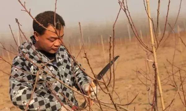 光伏發電帶領下的致富之路，讓村民生活變得更美更甜！