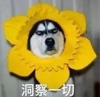 收益 | 這一年靠它賺了12000元!全國近60萬家庭享受這份收益! 收益 | 這一年靠它賺了12000元!全國近60萬家庭享受這份收益!