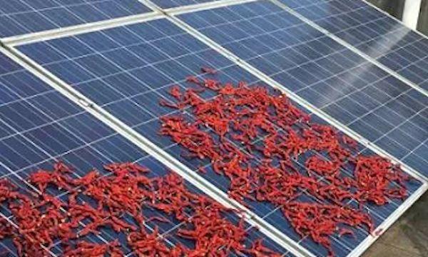 如何讓光伏發電真正為老百姓賺錢的絕招請收下！！