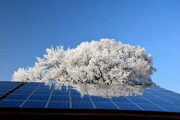 三晶電氣歐陽家淦：戶用光伏發展超出預期，高效、智能產品成為新趨勢