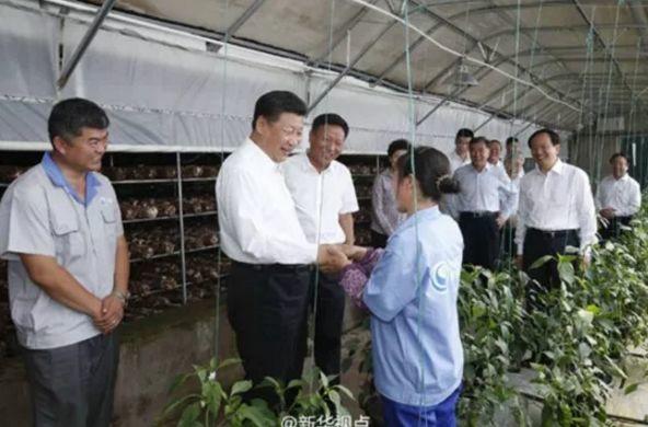 習近平總書記光伏扶貧的決心：1次下光伏車間2次進光伏園區2次看光伏扶貧電站！