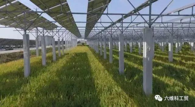 央視揭秘 | 能種能養，能發電；從空中到地面，一塊地賺幾份錢……
