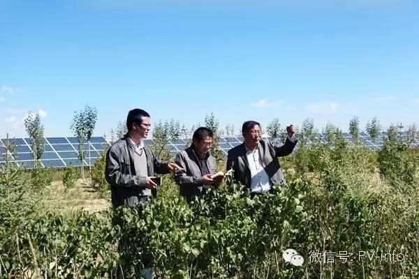 ?光伏原本可以賺錢的......慢慢的變成為人民服務了!