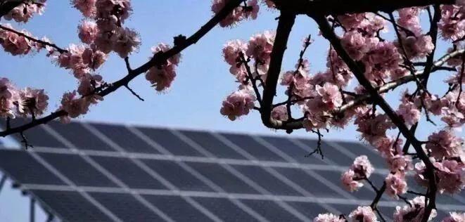 去年10kW屋頂光伏電站到現在賺了12240元啦! 去年10kW屋頂光伏電站到現在賺了12240元啦!