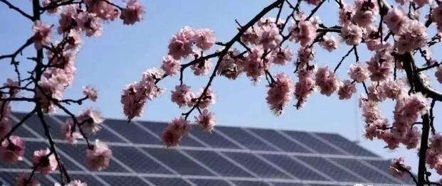 去年10kW屋頂光伏電站到現在賺了12240元啦！