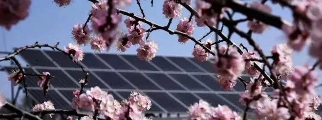 去年10kW屋頂光伏電站到現在賺了12240元啦！