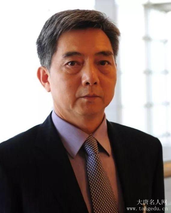 習近平給出信號：中國開放的大門只會越開越大！光伏也應“將改革進行到底”！