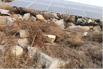 知識 | 地面光伏電站項目火災防范指導