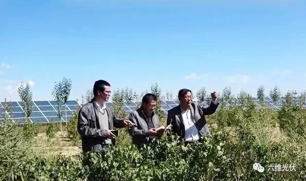 光伏原本可以賺錢的......慢慢的變成為人民服務了!
