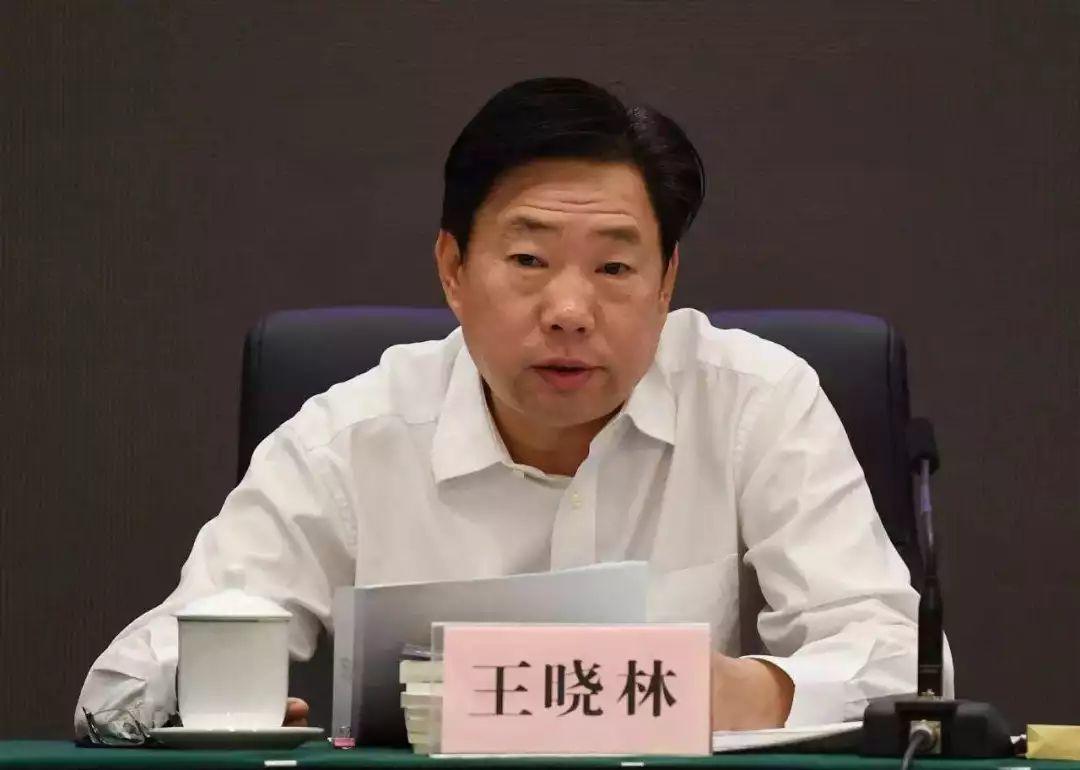 王曉林被雙開：國家能源局副局長落馬
